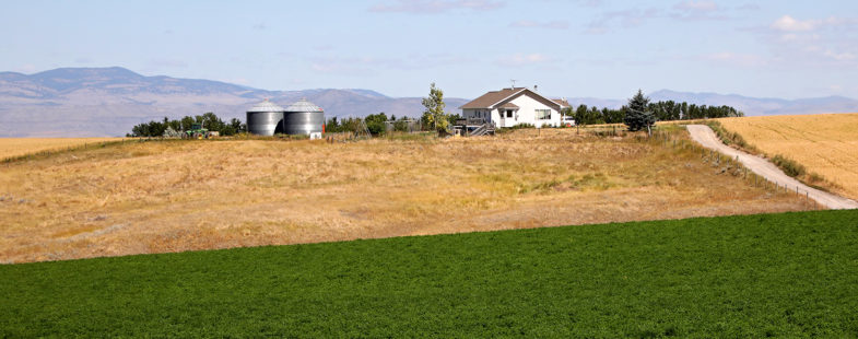 Farm house surrounded by agricultural land