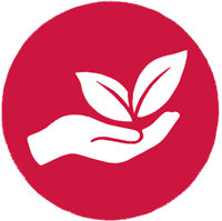 Red and white graphic of a hand holding a leaf