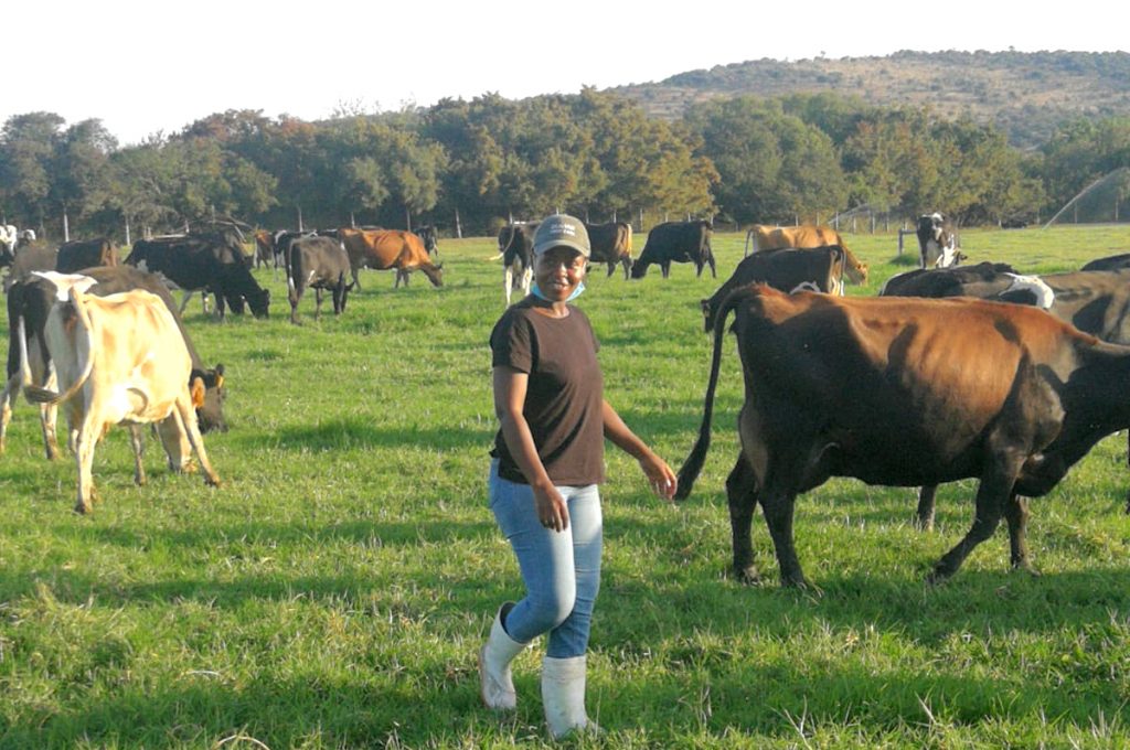 South African dairy farmer Jeanet Rikhotso stands in a field with cows 