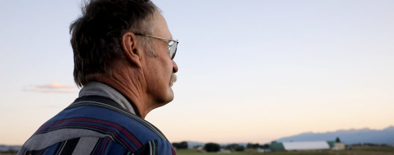 Man overlooking farmland