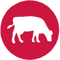 Red and white icon of a cow
