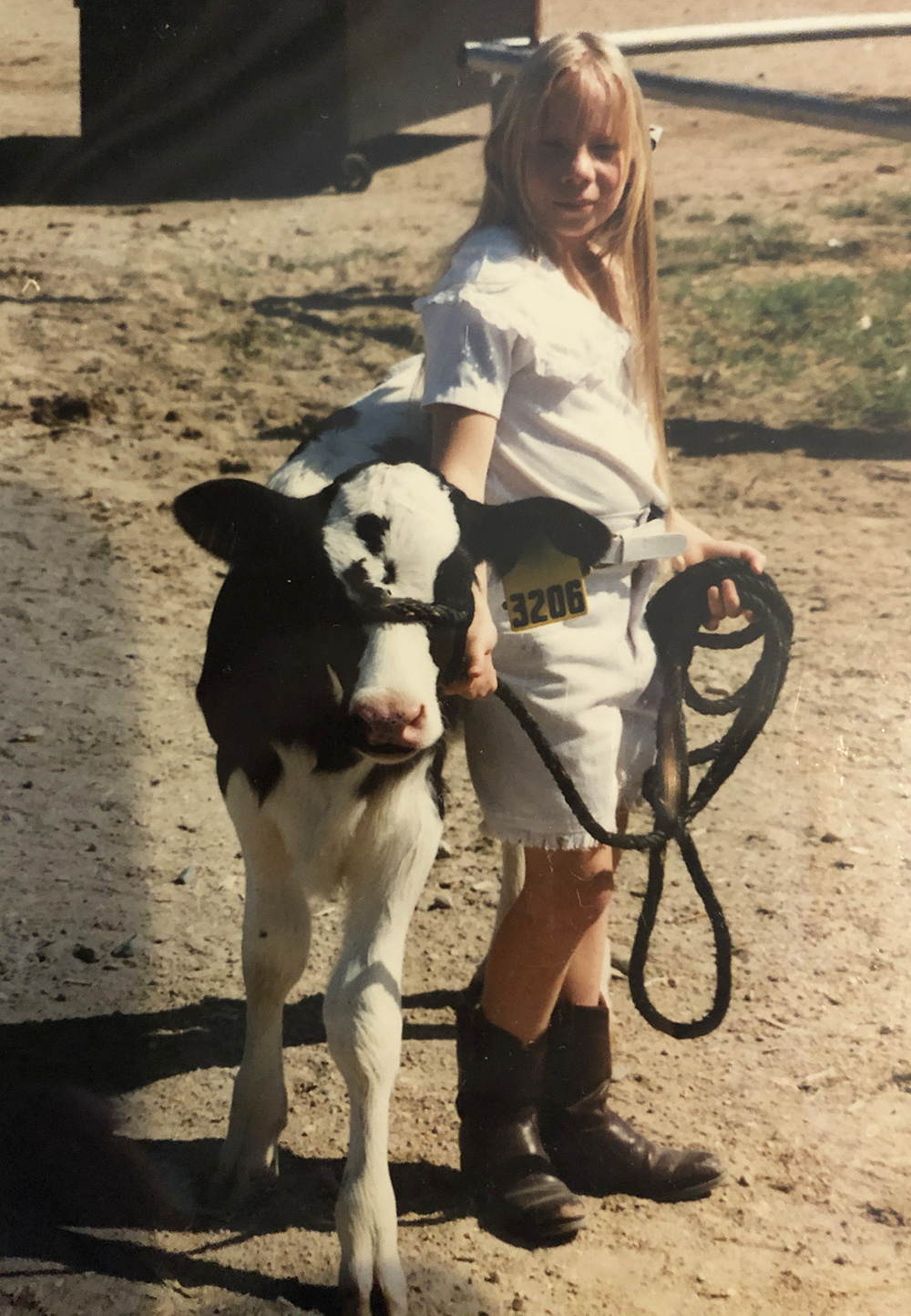 Vintage photo of a young girl with a cow calf