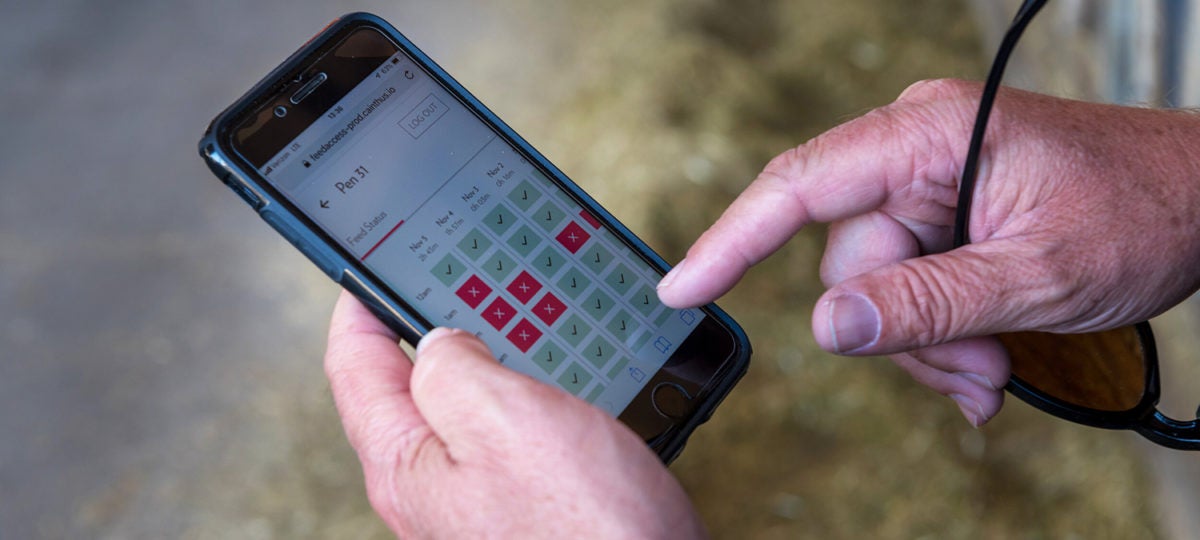 A man uses a smartphone app in a barn