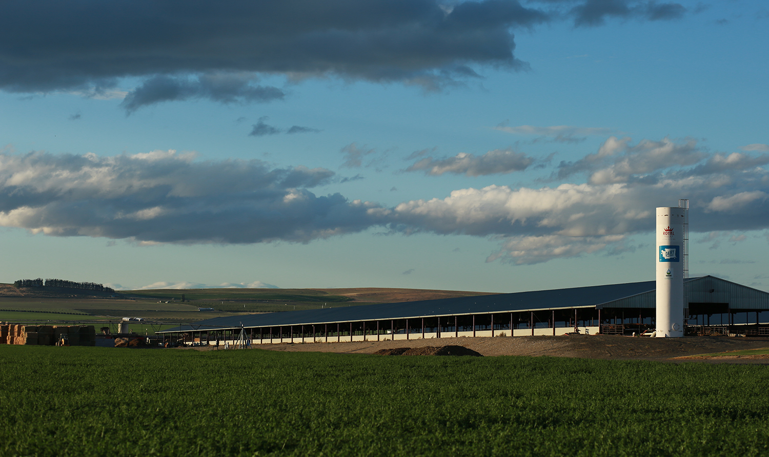 Moody photograph of a dairy field of crops with a silo in the background 