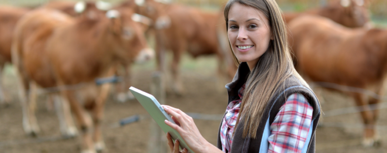 Photo of a woman standing in front of cows while carrying an iPad