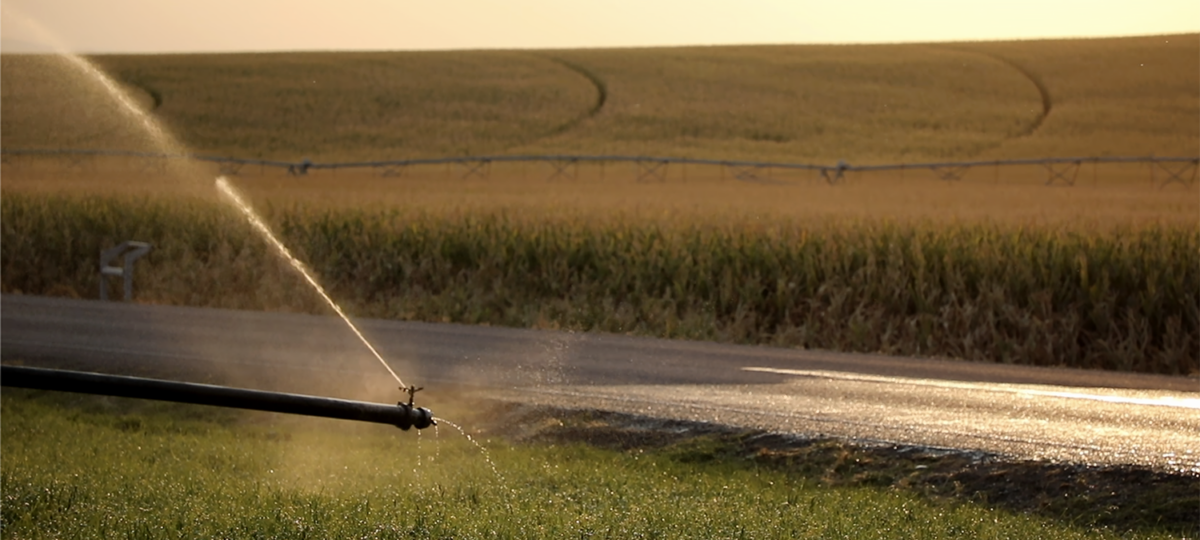 A water pipe irrigating a field