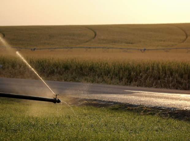 A water pipe irrigating a field
