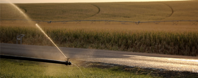 A water pipe irrigating a field