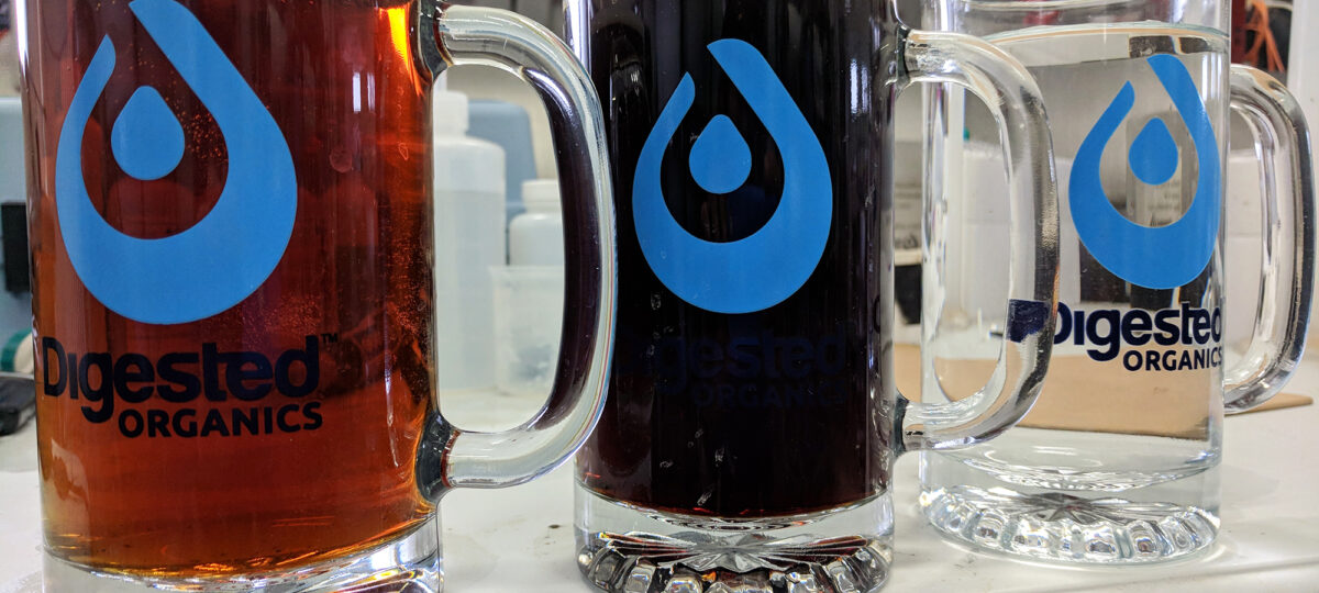 Three beer glasses filled with manure filtered down to clear water