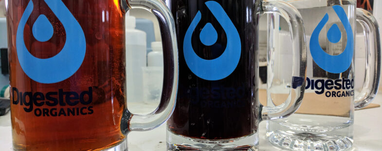 Three beer glasses filled with manure filtered down to clear water