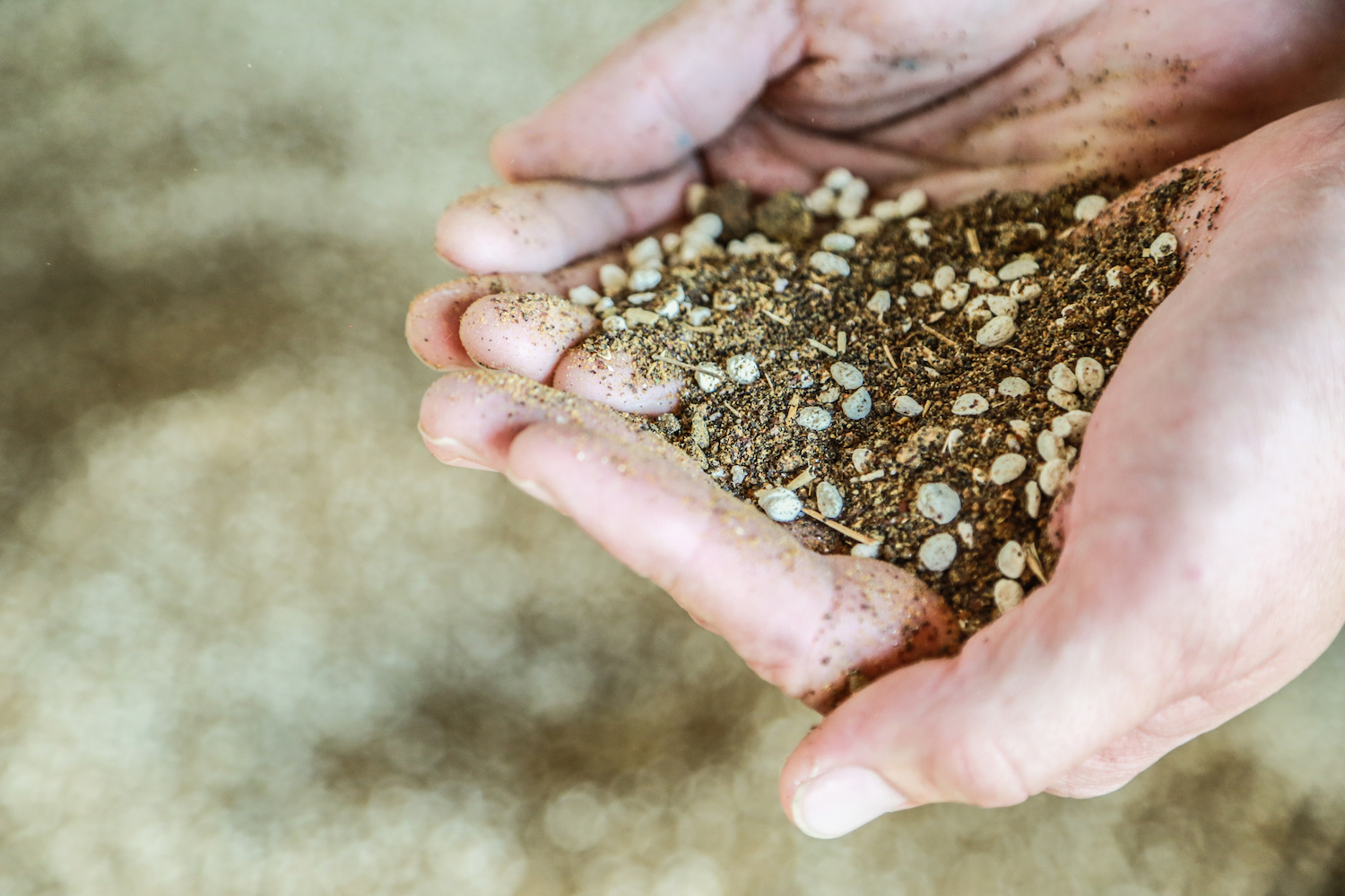 A man holds a handful of cow feed