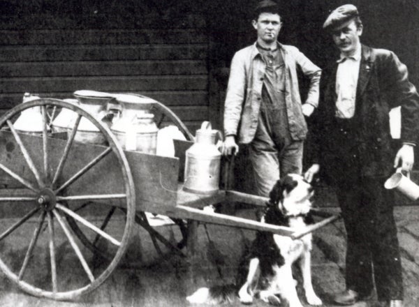 Vintage black and white photo of two men a dog and a milk delivery wagon