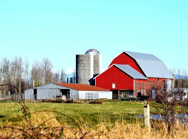 Several barns and 2 silos with field in the foreground