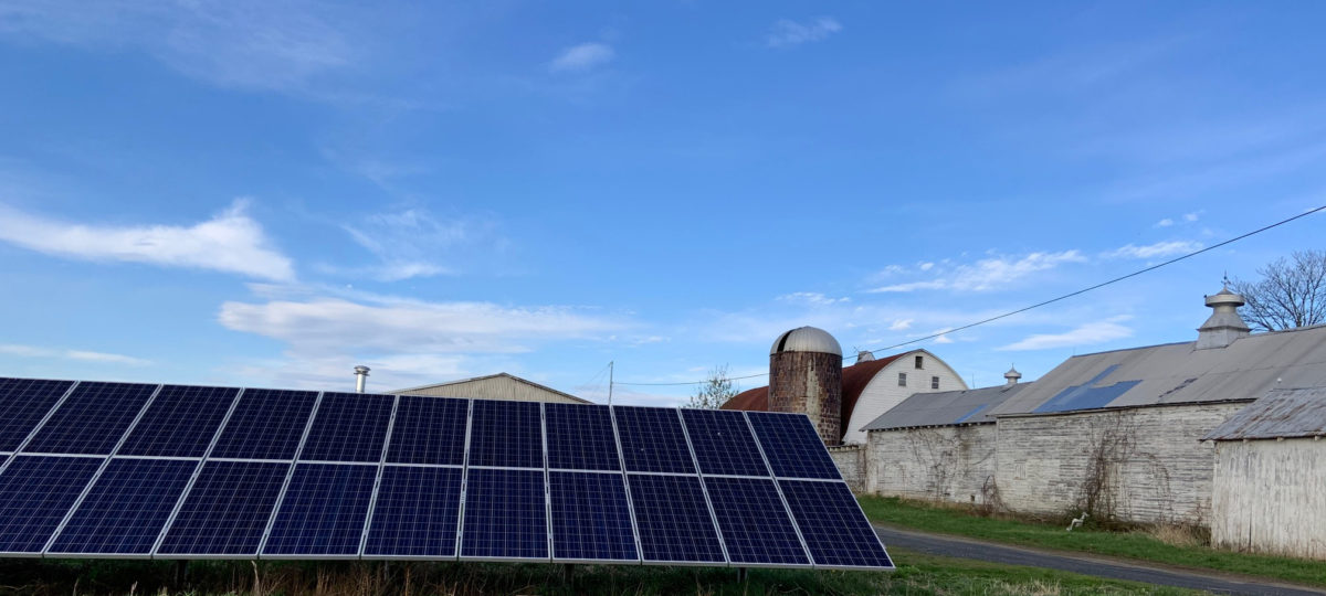 Solar panels on a dairy farm