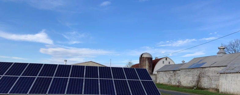 Solar panels on a dairy farm