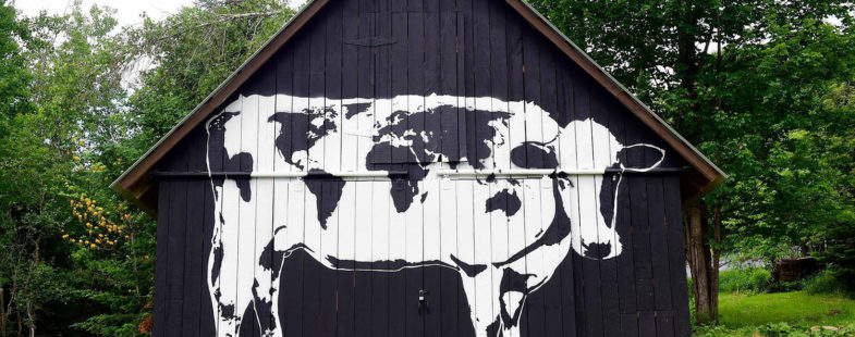 A giant black and white cow painted on a black barn