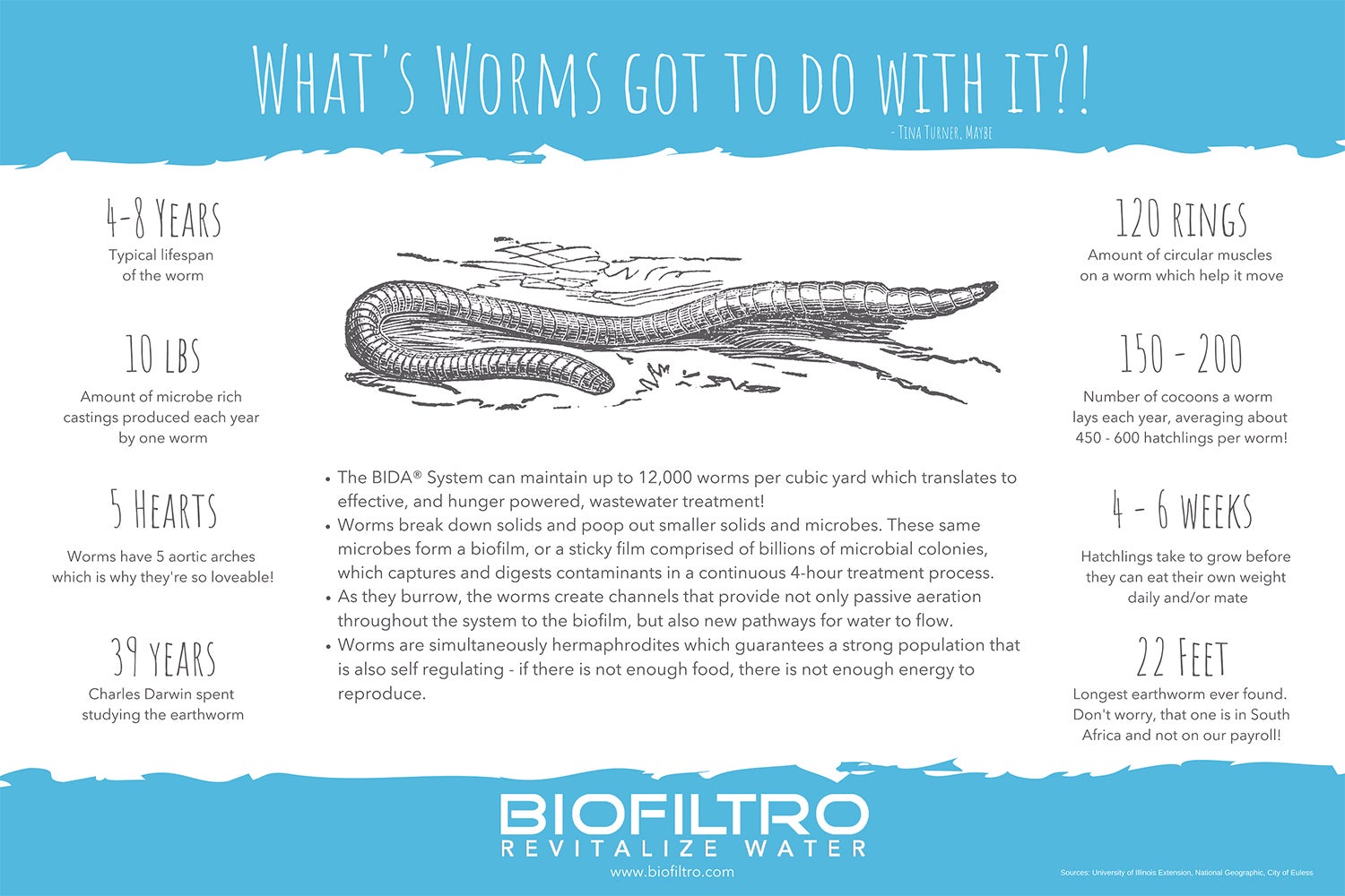 A blue and white poster describes earthworm's many functions